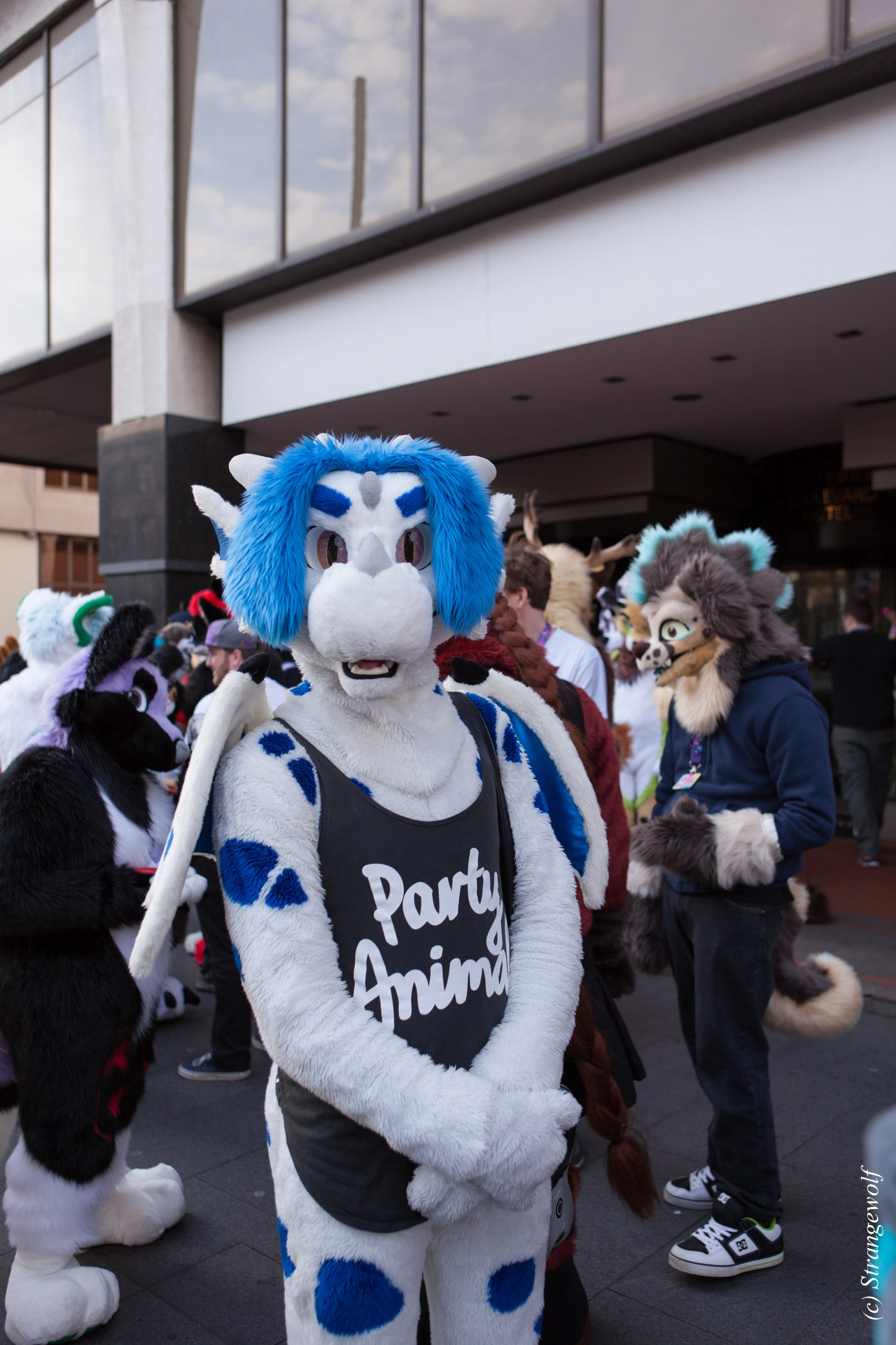 full image IMG_4573-lr19t.jpg