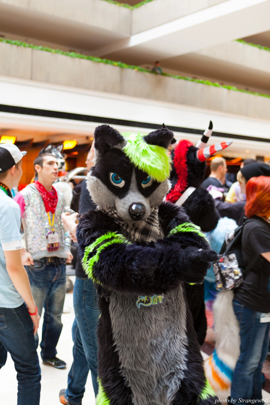 full image IMG_5840-lr16t.jpg