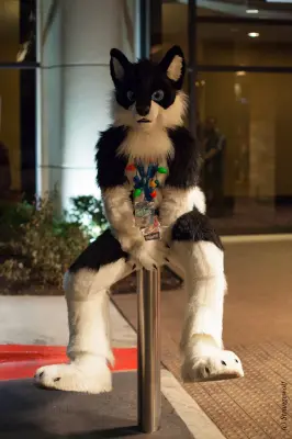 IMG_6584-lr19t.jpg of MFF/MFF2015/