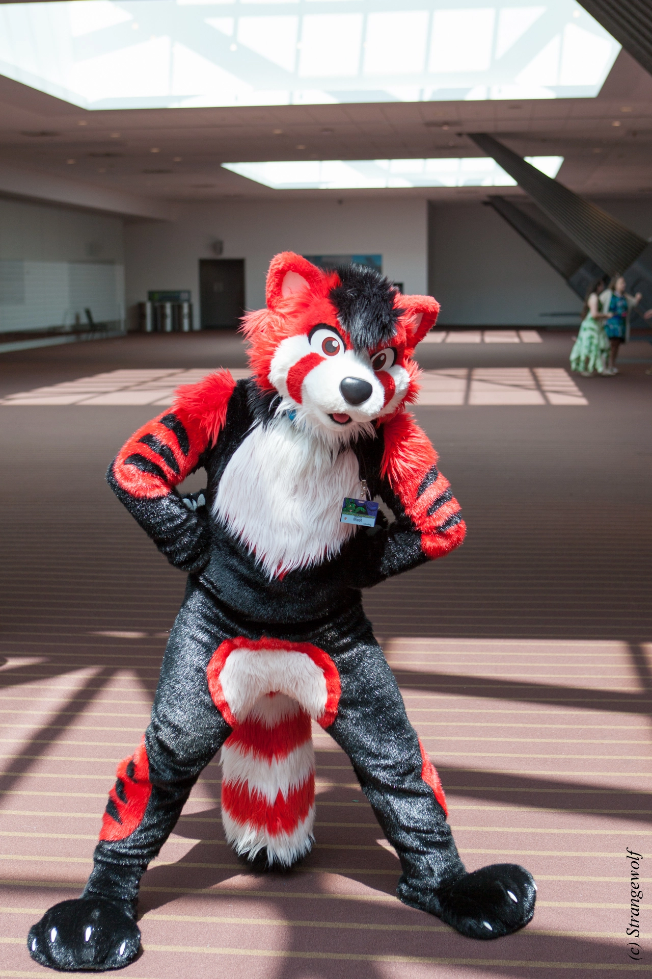 full image IMG_4071-lr19t.jpg