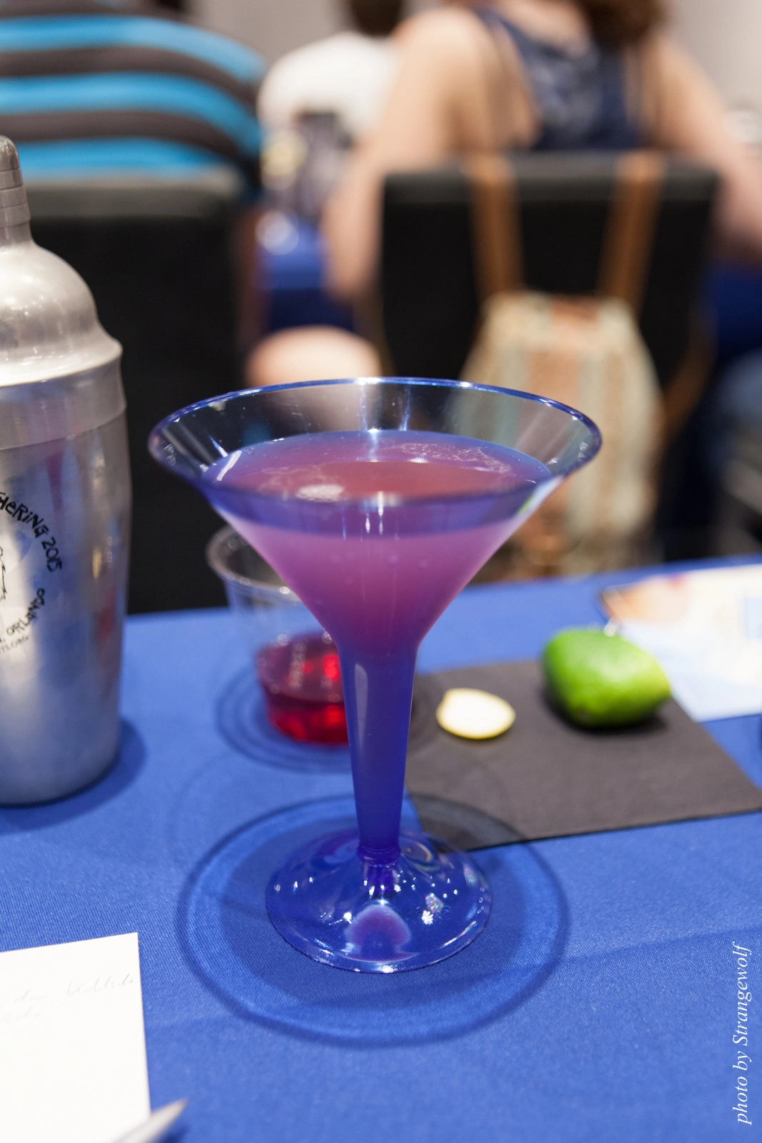 full image IMG_8120-lr16t.jpg