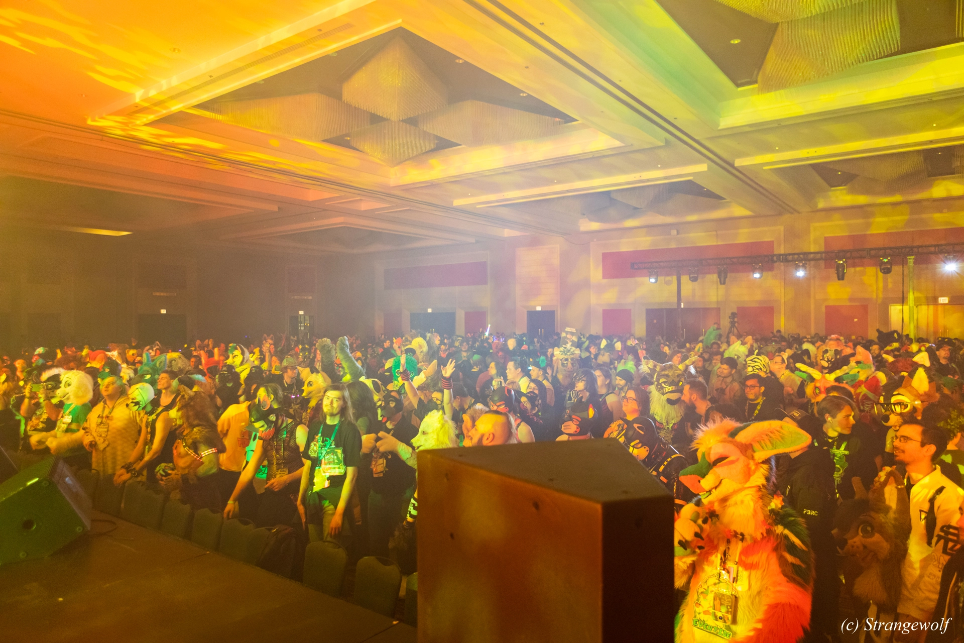 full image 1R3A4854-lr19t.jpg