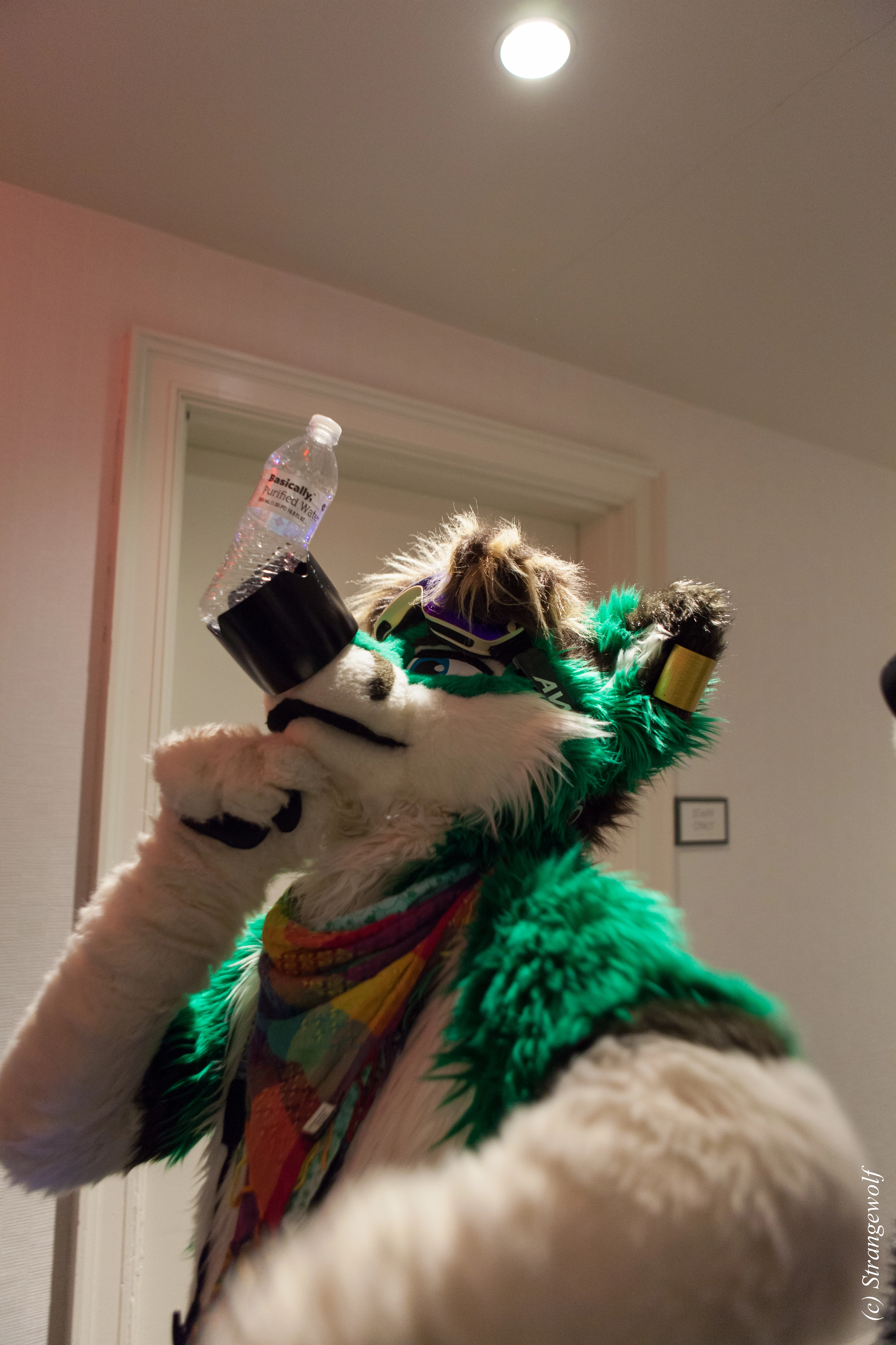 full image IMG_3641-lr.jpg