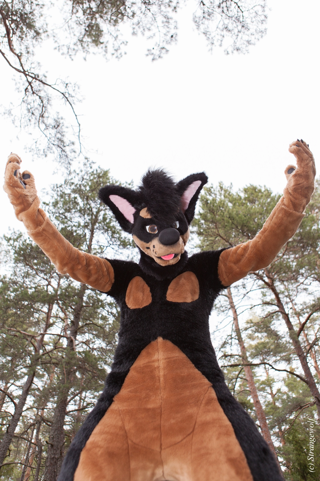 full image IMG_8591-lr19t.jpg