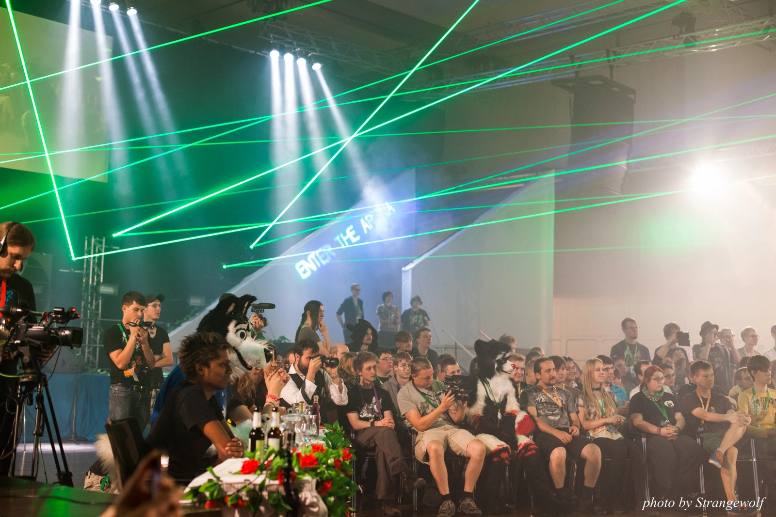 full image IMG_2837-lr16t.jpg
