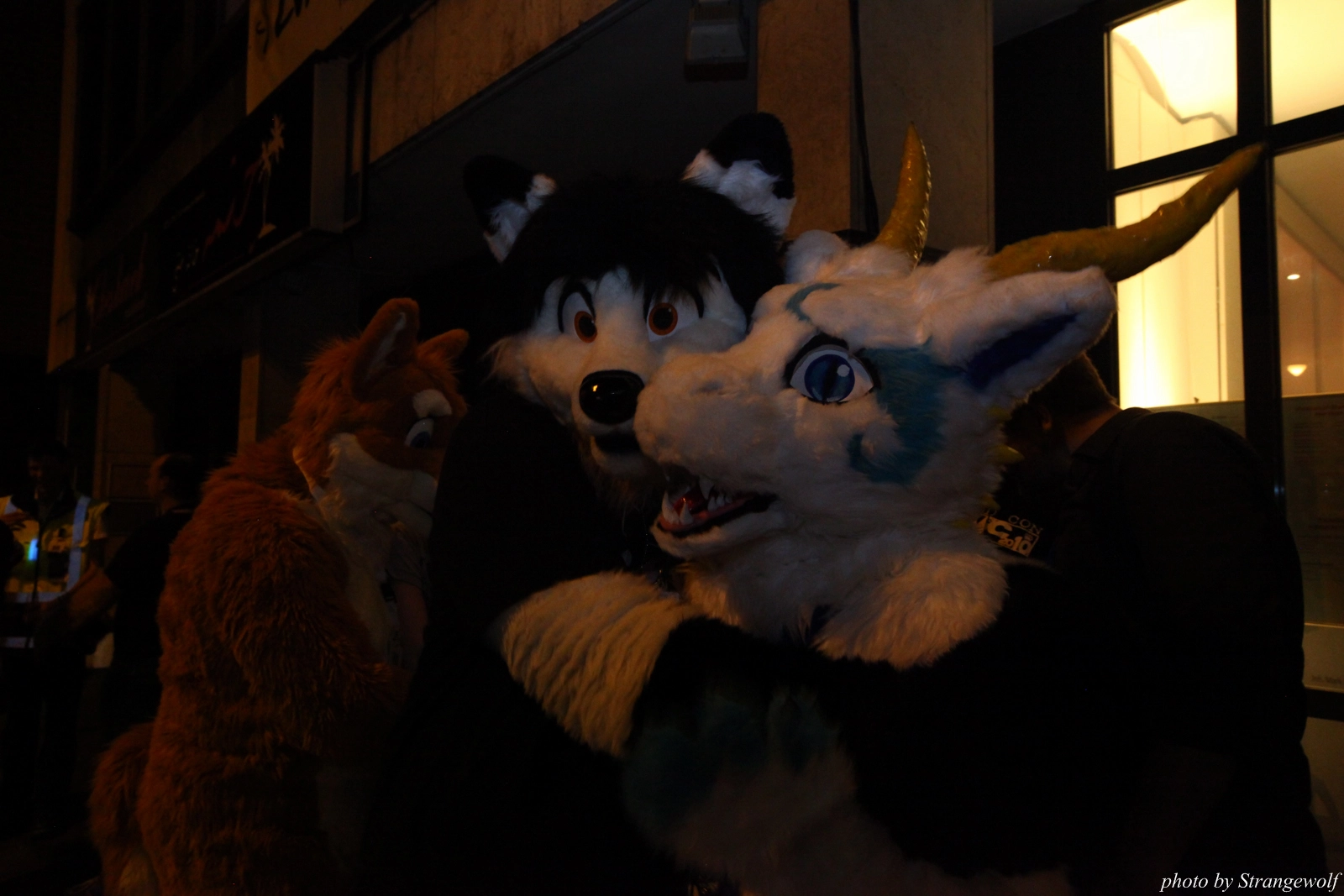 full image IMG_7558-lr16t.jpg