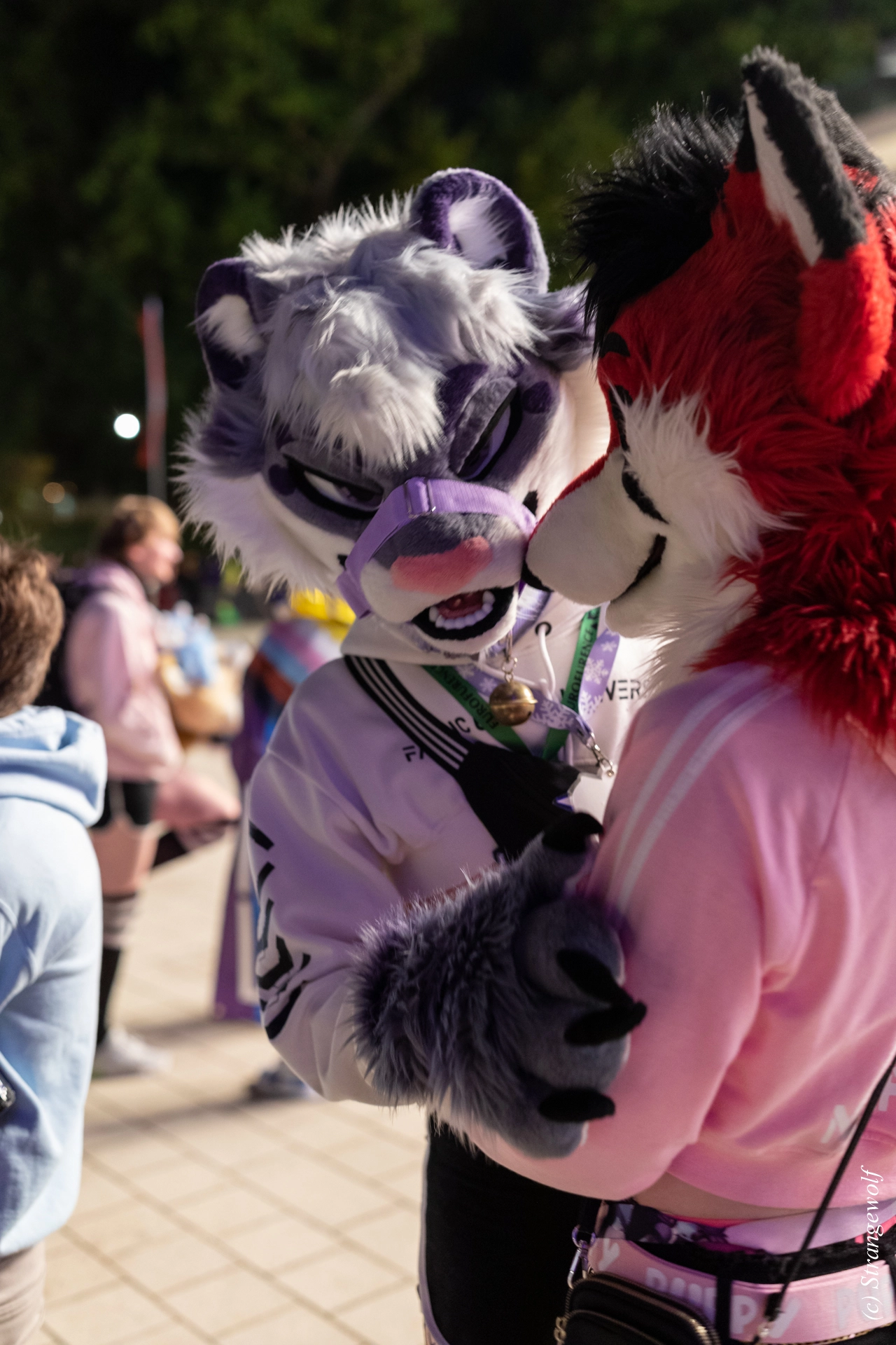 full image 1R3A9469-lr19t.jpg