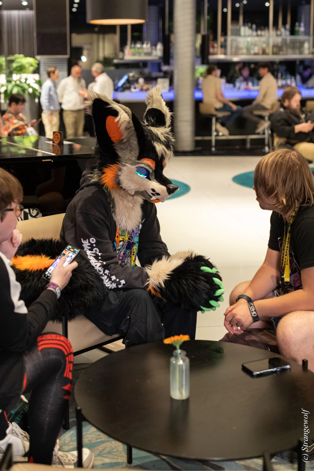 full image 1R3A9391-lr19t.jpg