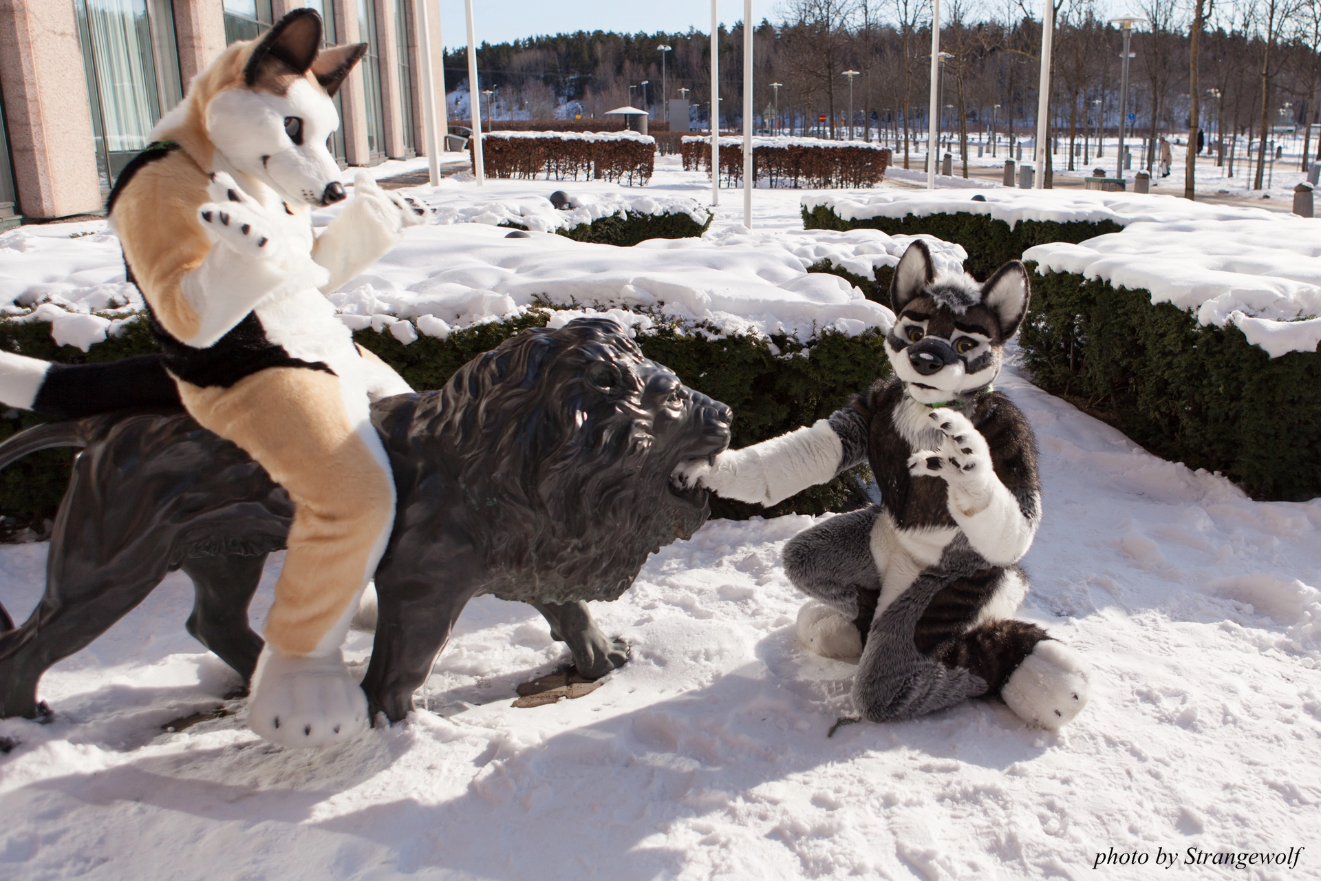 full image IMG_9601-lr19t.jpg