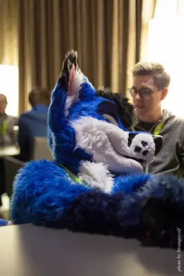 IMG_1571-lr16t.jpg of NFC/NFC2017/