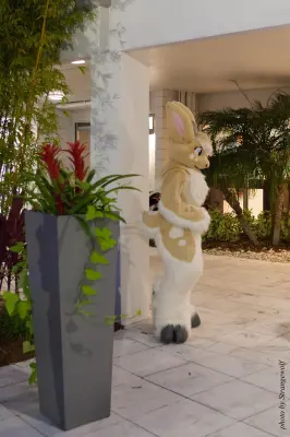 IMG_8436-lr16t.jpg of ESG/ESG2015/