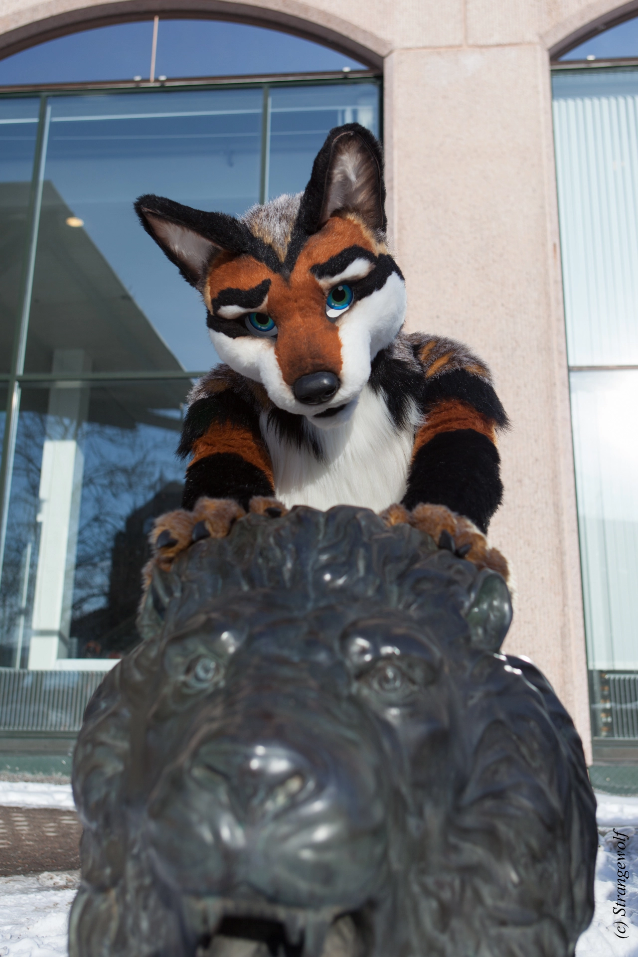 full image IMG_0053-lr19t.jpg