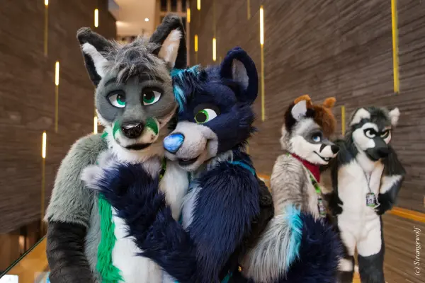 IMG_8307-lr19t.jpg of NFC/NFC2020/