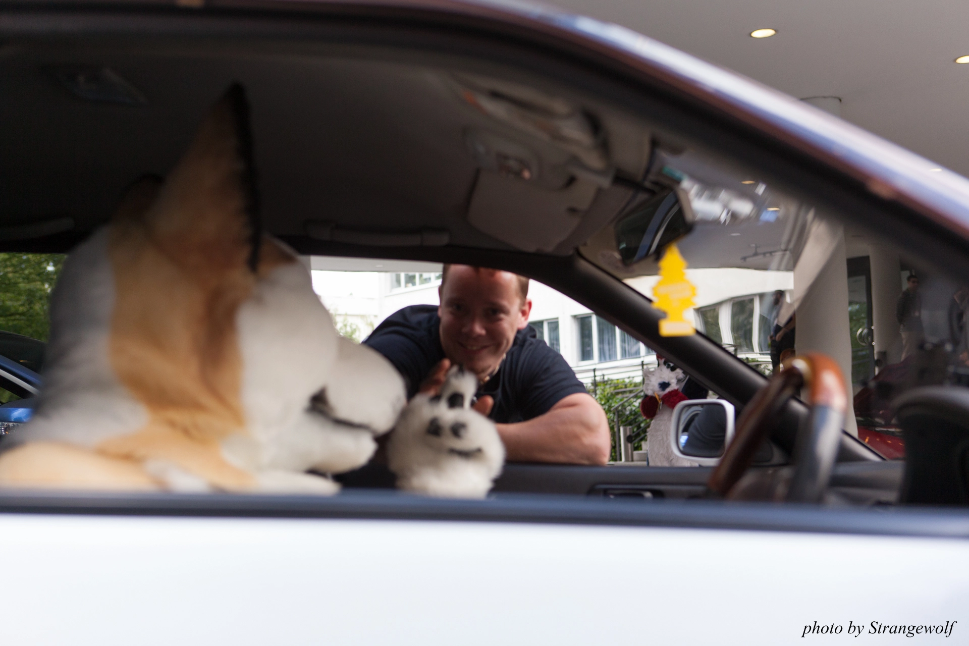 full image IMG_6813-lr19t.jpg