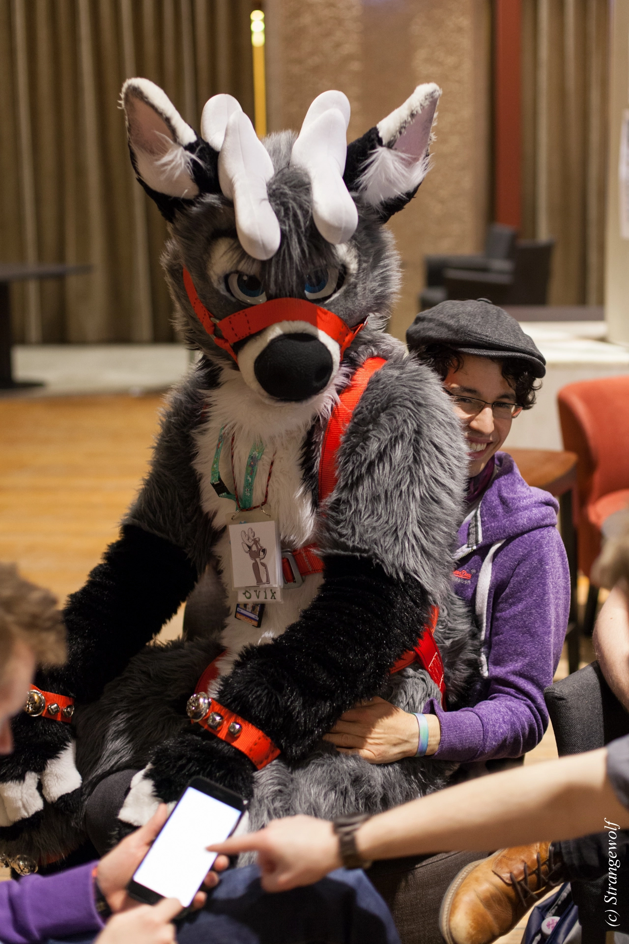 full image IMG_9231-lr19t.jpg