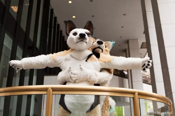 IMG_1720-lr19t.jpg of FWA/FWA2018/