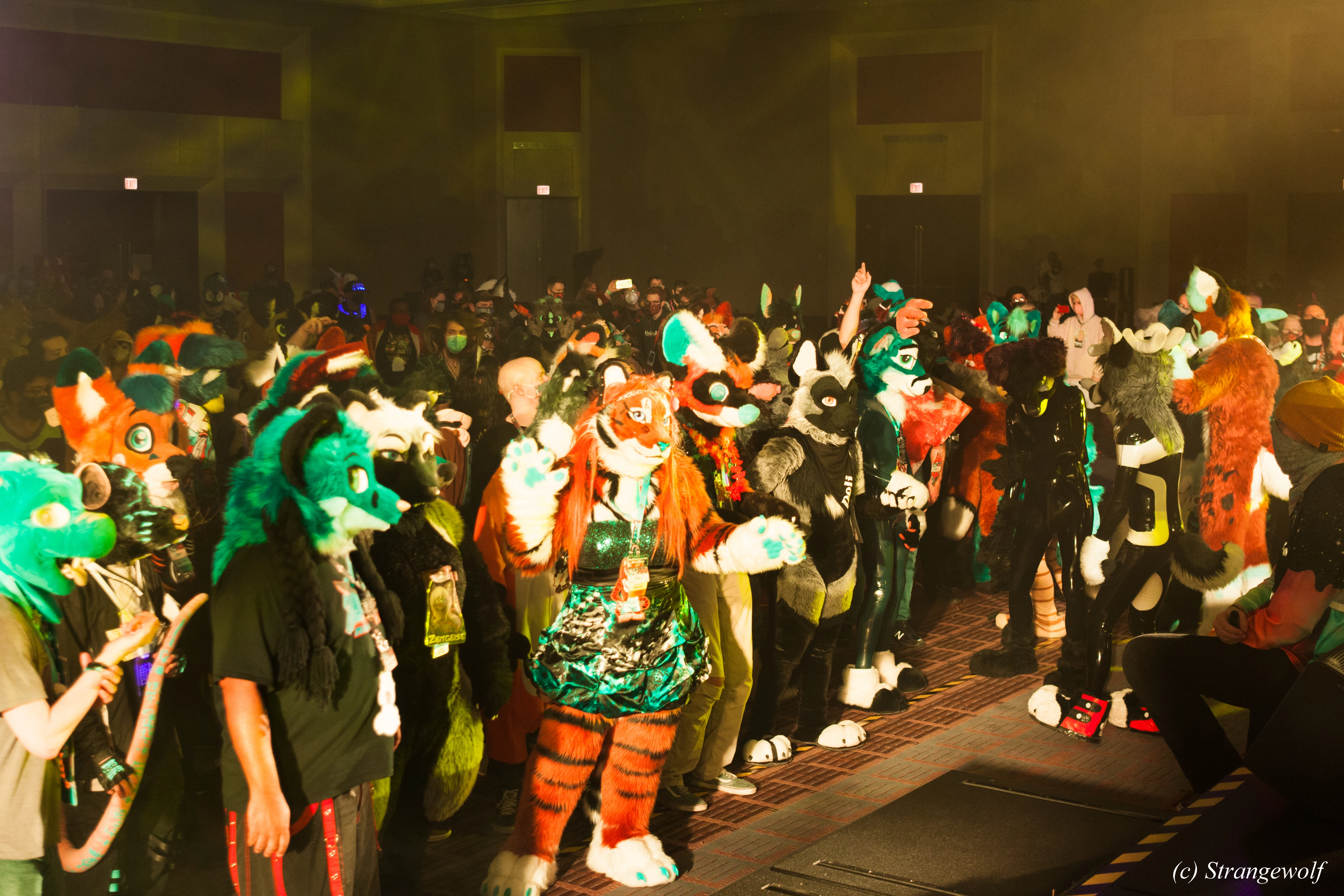 full image IMG_2608-lr.jpg
