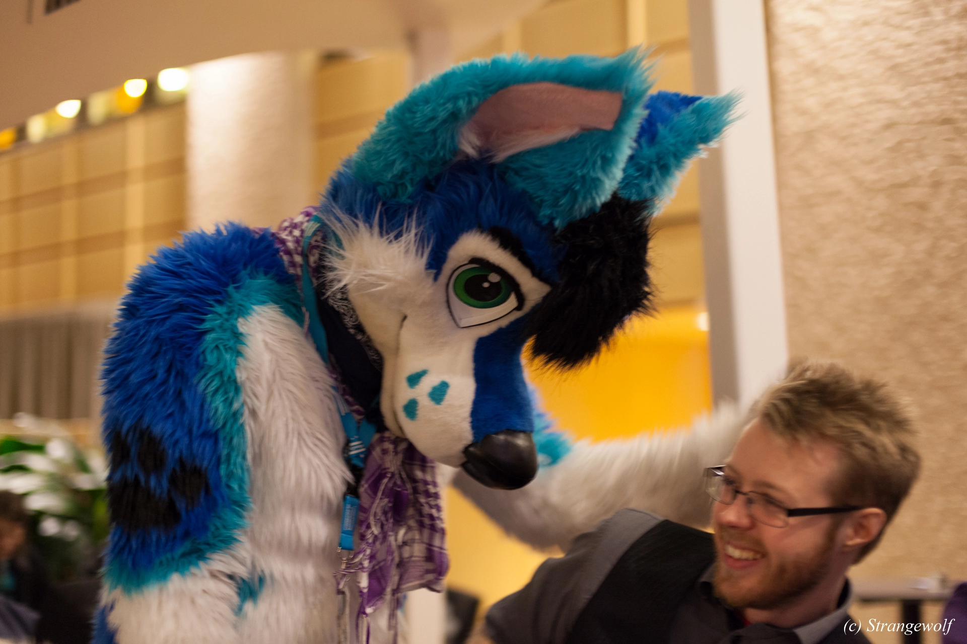 full image IMG_9633-lr19t.jpg