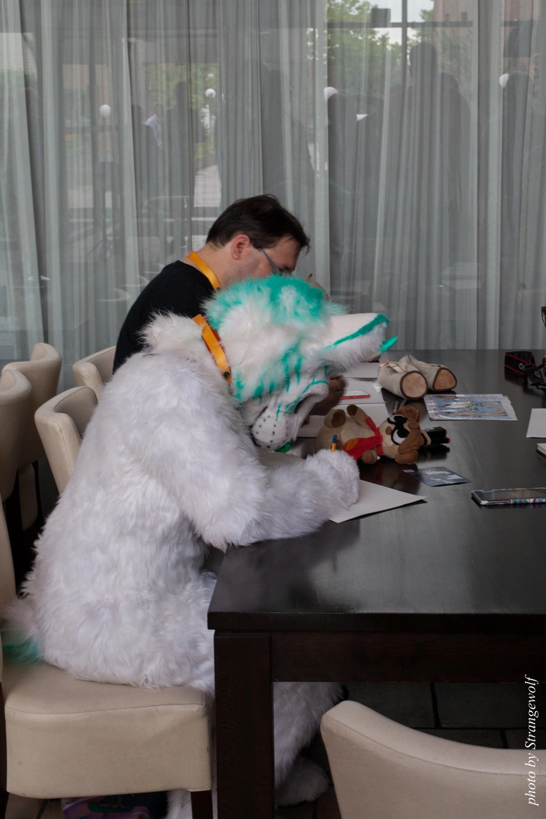 full image IMG_5319-lr16t.jpg