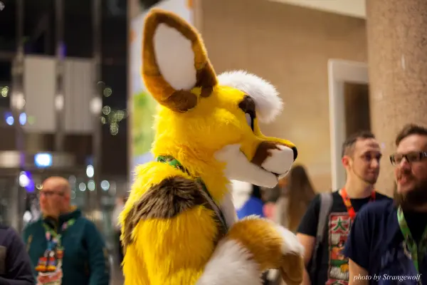 IMG_9336-lr19t.jpg of NFC/NFC2018/