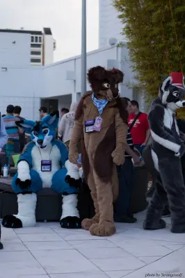 IMG_8343-lr16t.jpg of ESG/ESG2015/