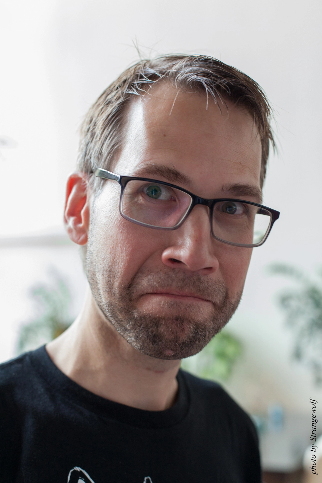 full image IMG_5316-lr16t.jpg