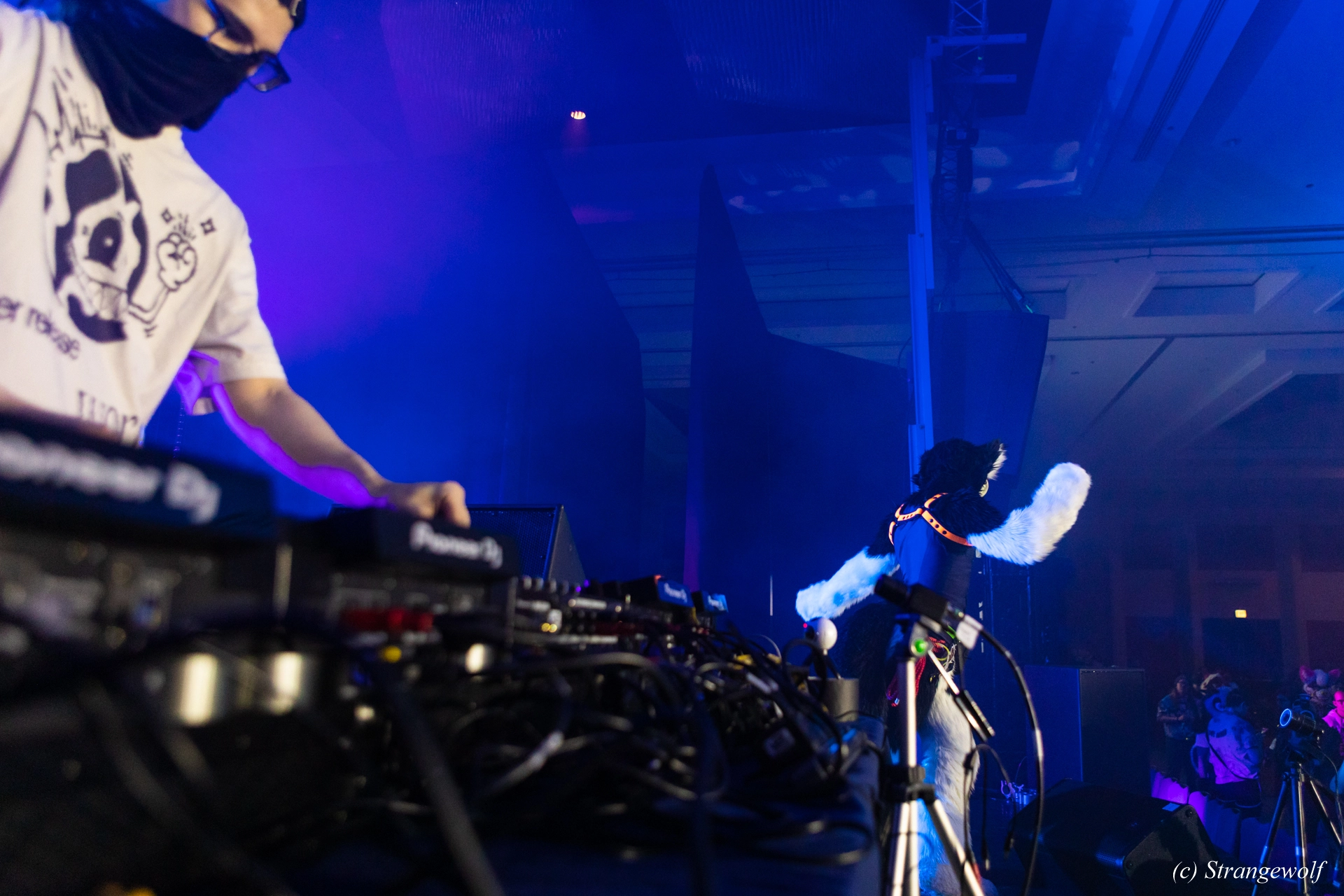 full image 1R3A4917-lr19t.jpg