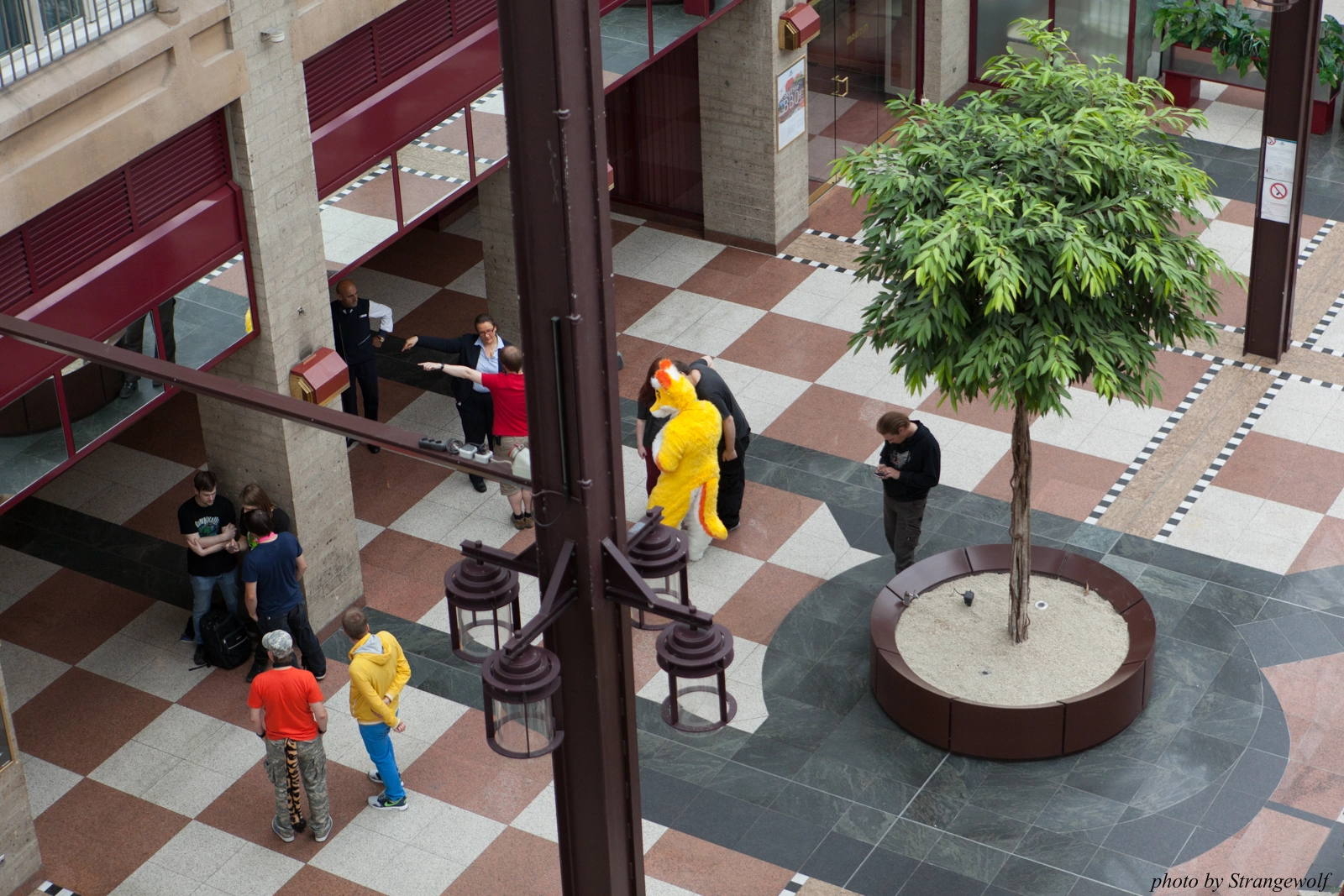 full image IMG_1181-lr16t.jpg