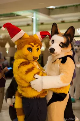 IMG_8095.jpg of MFF/MFF2017/