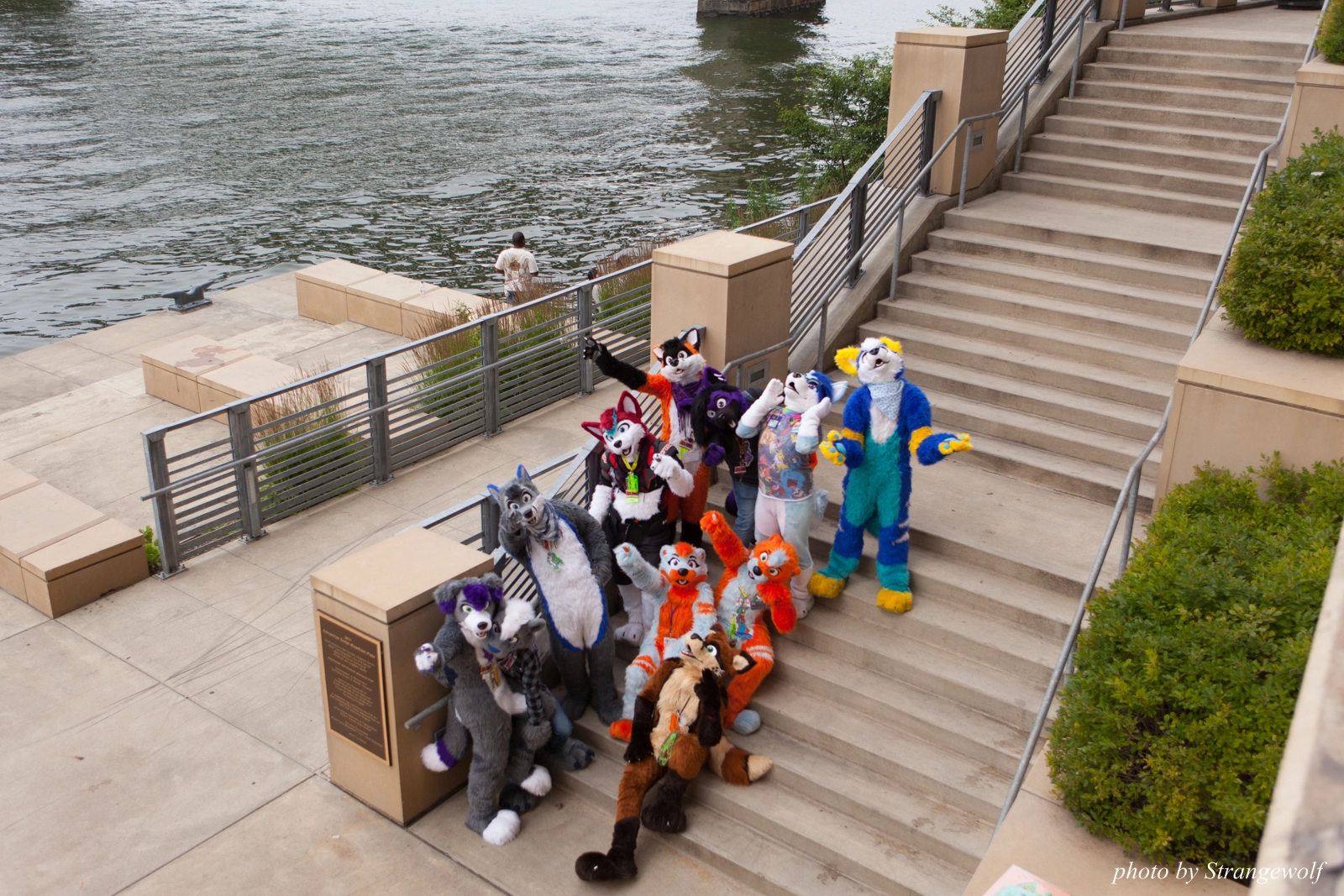 full image IMG_8301-lr16t.jpg