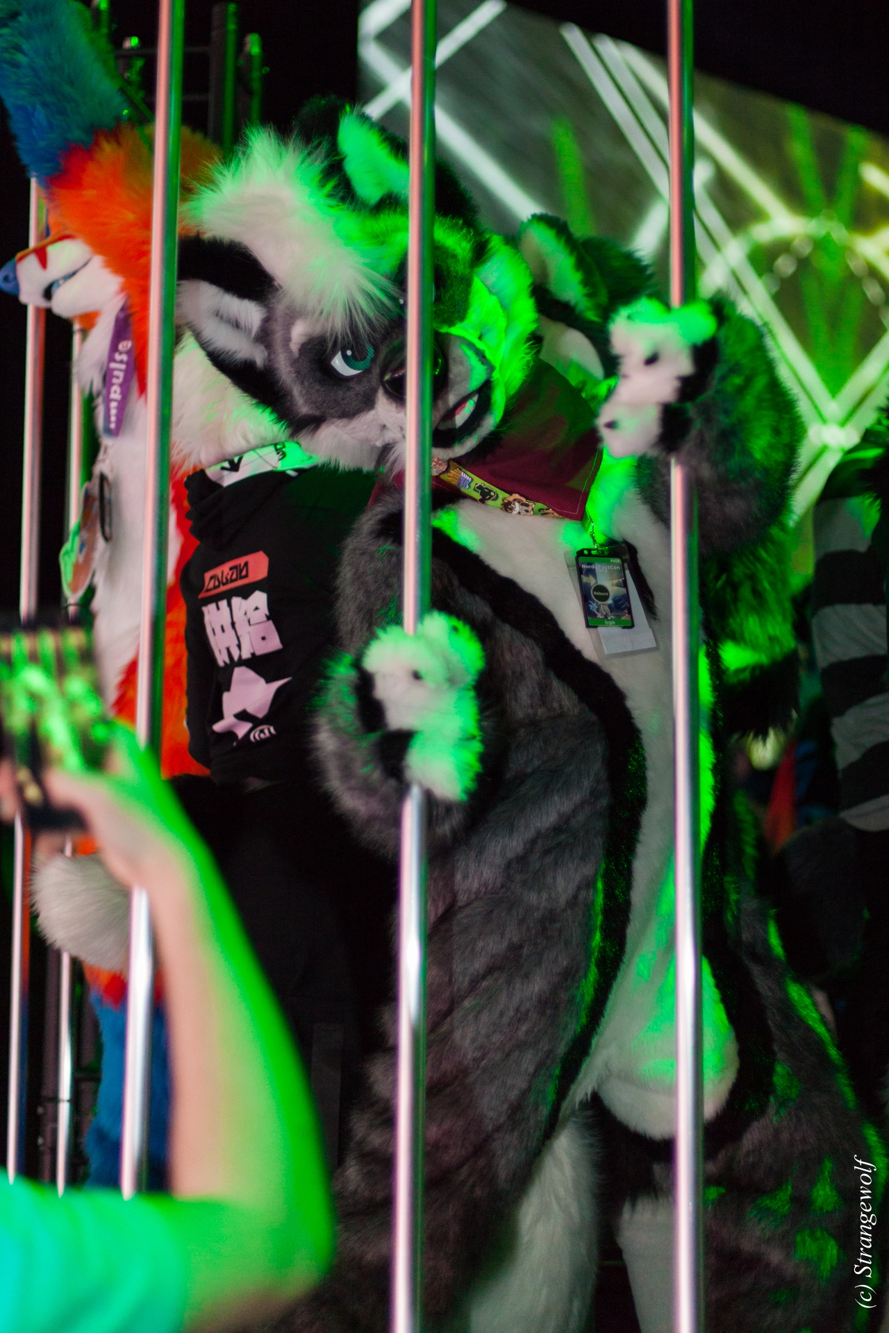 full image IMG_9328-lr19t.jpg