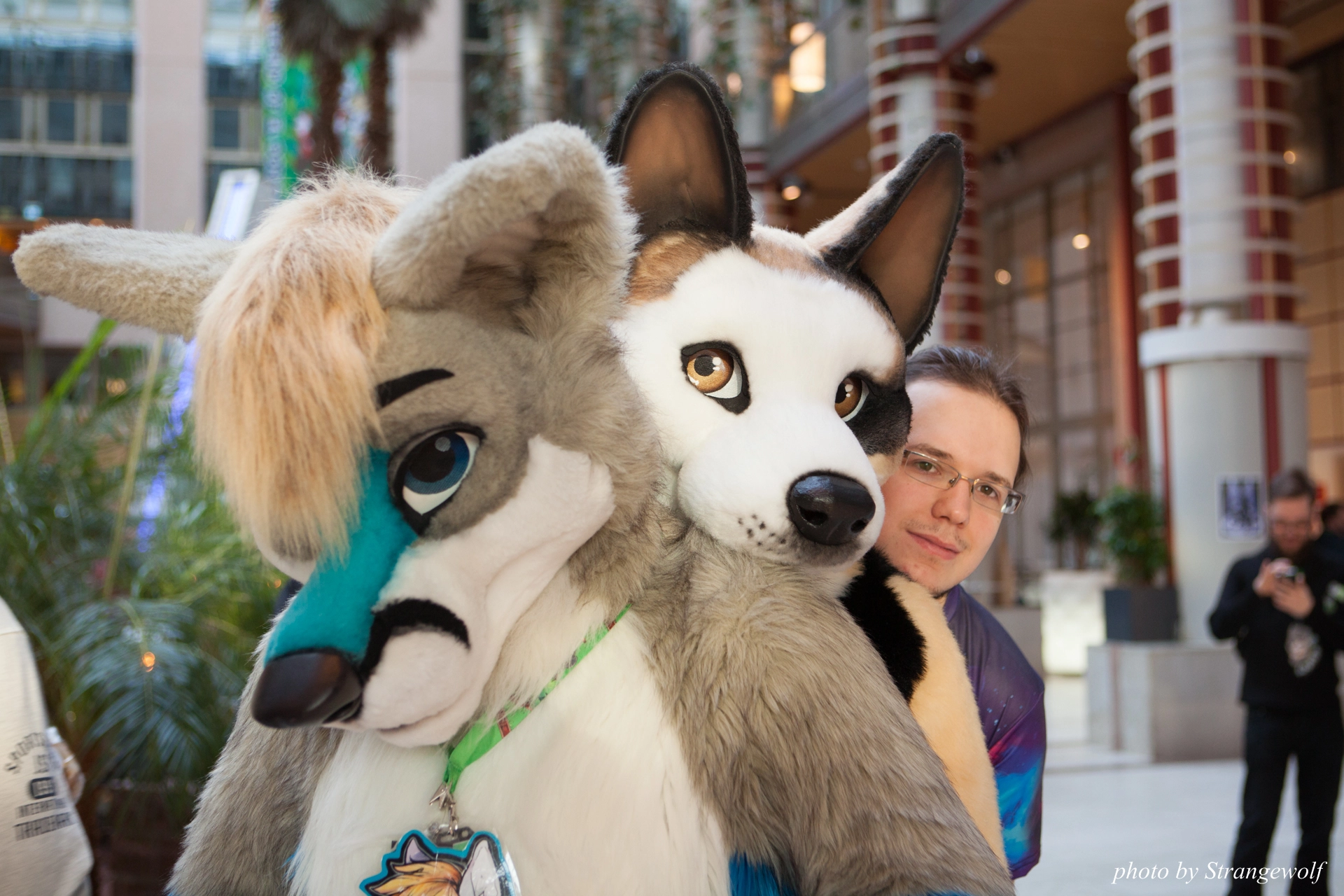 full image IMG_0529-lr19t.jpg