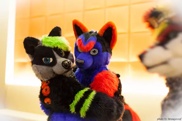 Next album: MFF2014