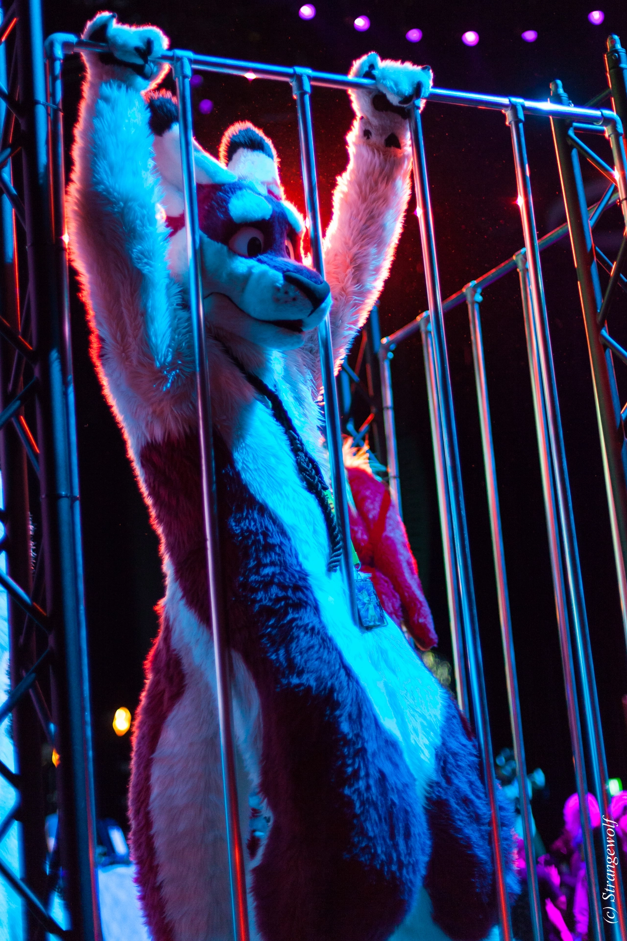 full image IMG_9235-lr19t.jpg