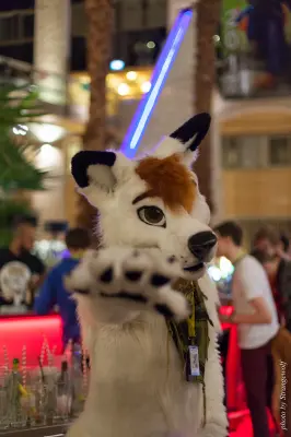 IMG_1584-lr16t.jpg of NFC/NFC2017/