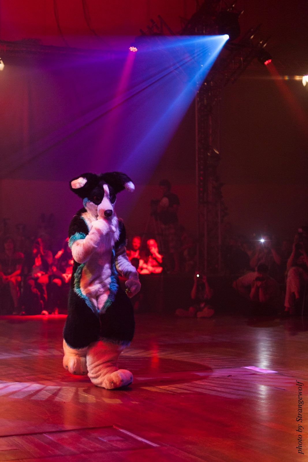 full image IMG_2663-lr16t.jpg