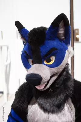 IMG_2713-lr.jpg of BLFC/2019/Fotoshoot-Slate/