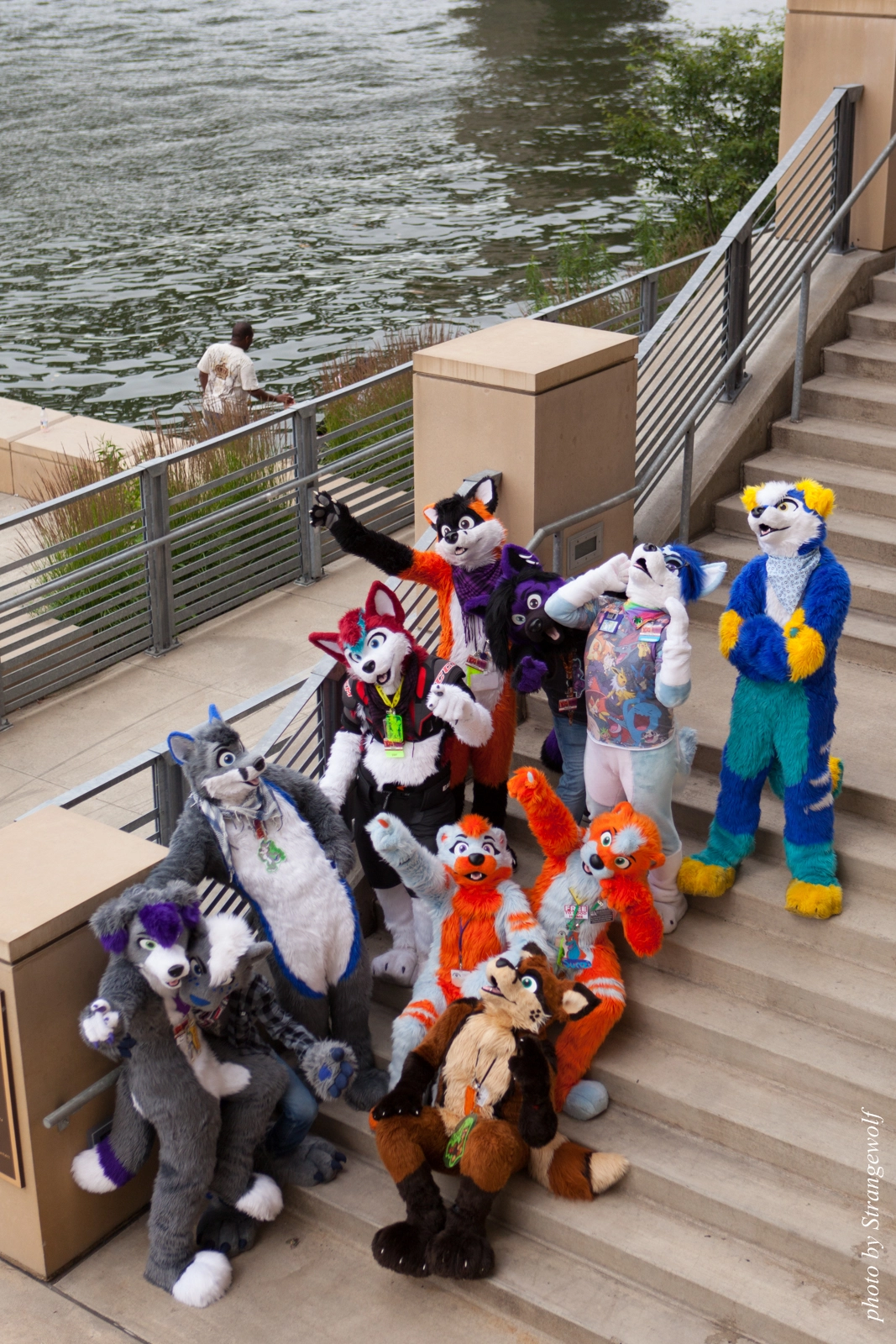full image IMG_8300-lr16t.jpg