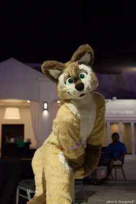 IMG_8707-lr16t.jpg of ESG/ESG2015/