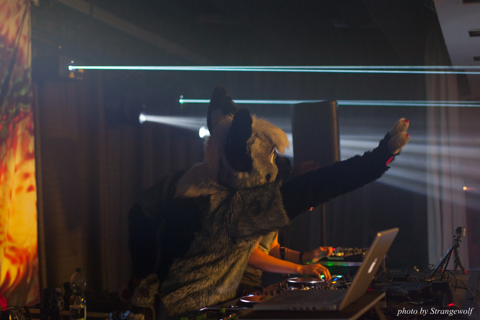 full image IMG_8649-lr16t.jpg