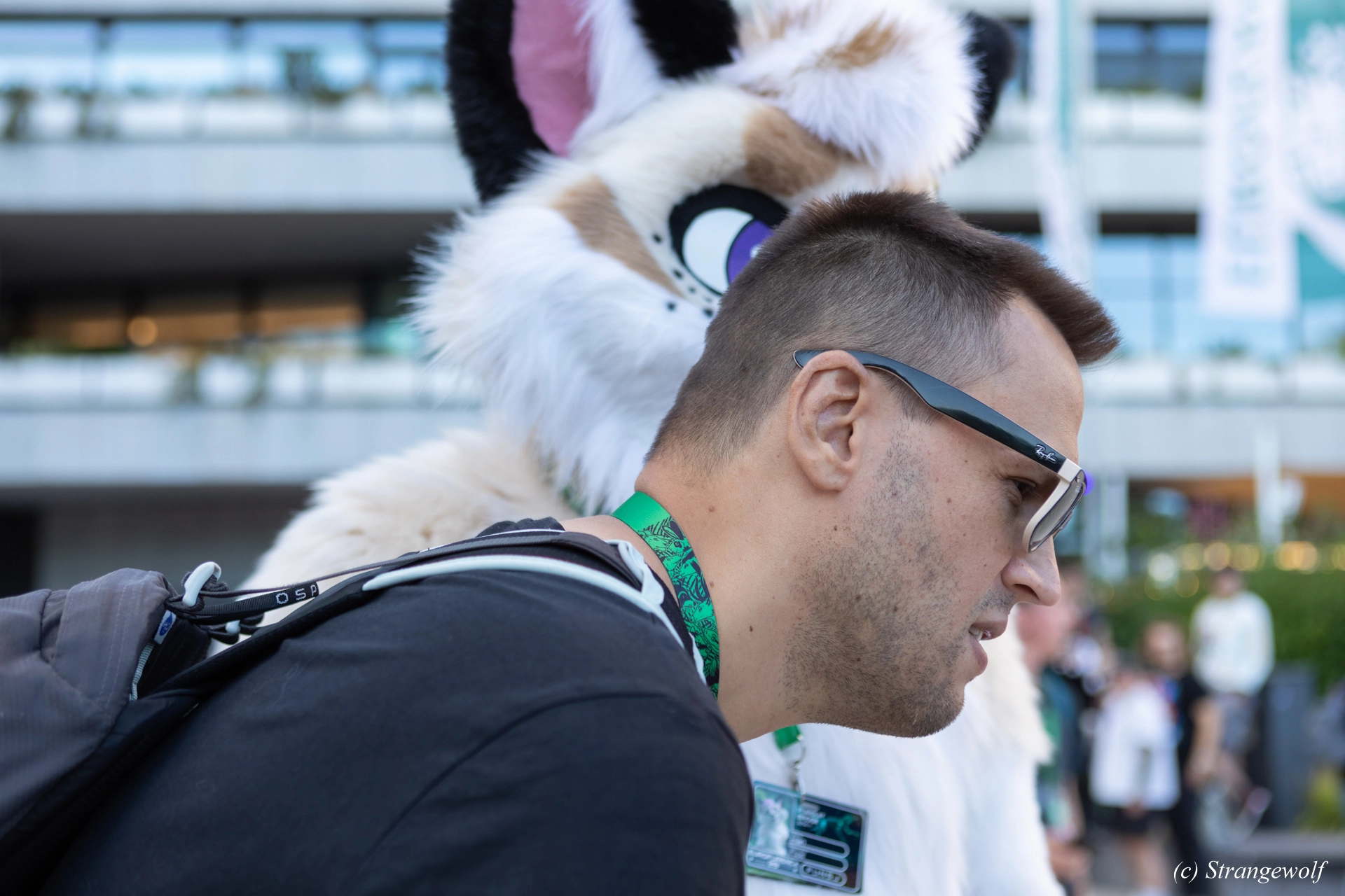 full image 1R3A9337-lr19t.jpg