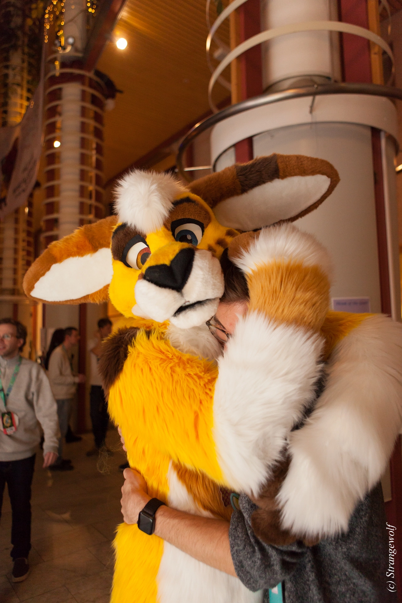 full image IMG_8933-lr19t.jpg