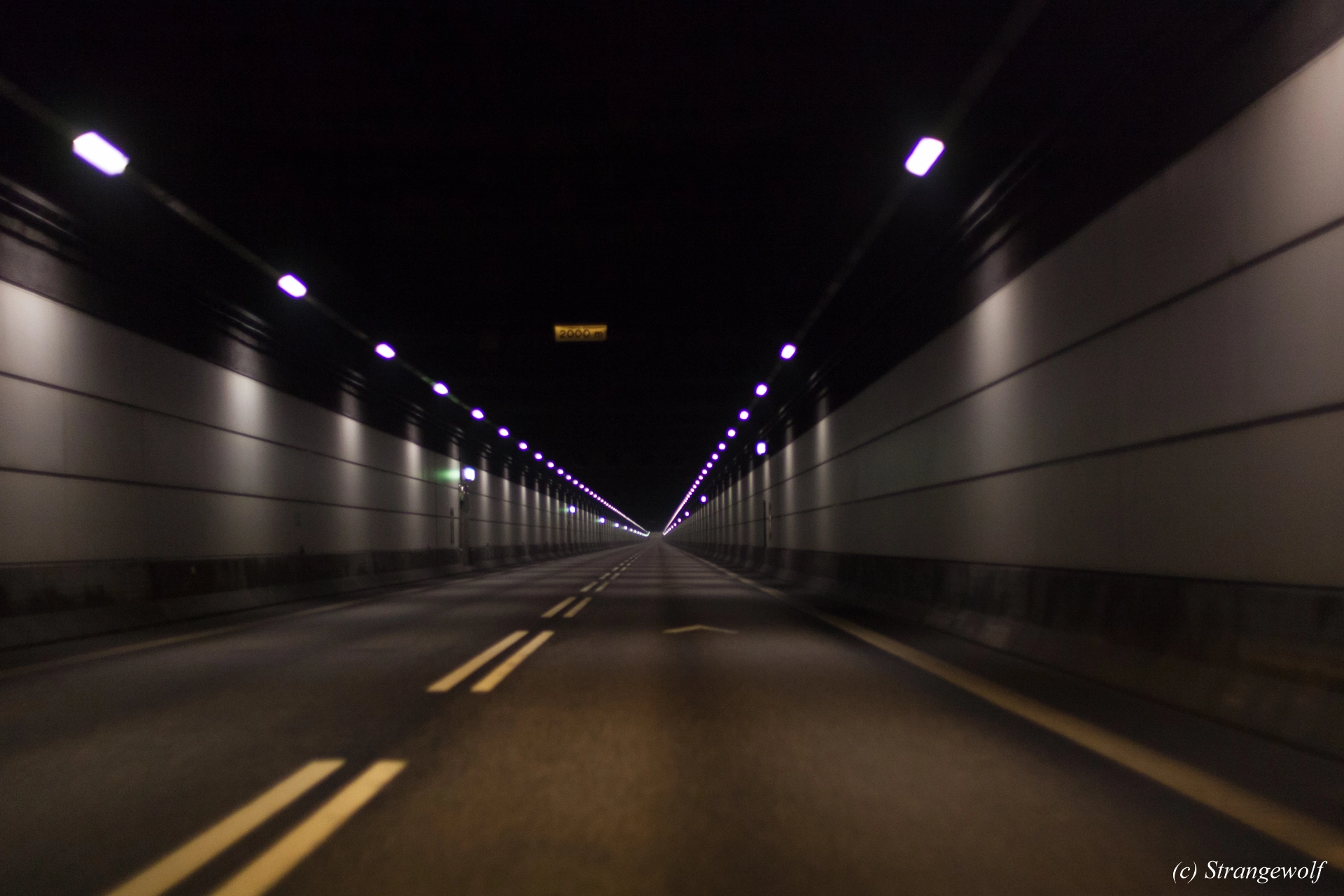 full image IMG_8486-lr19t.jpg