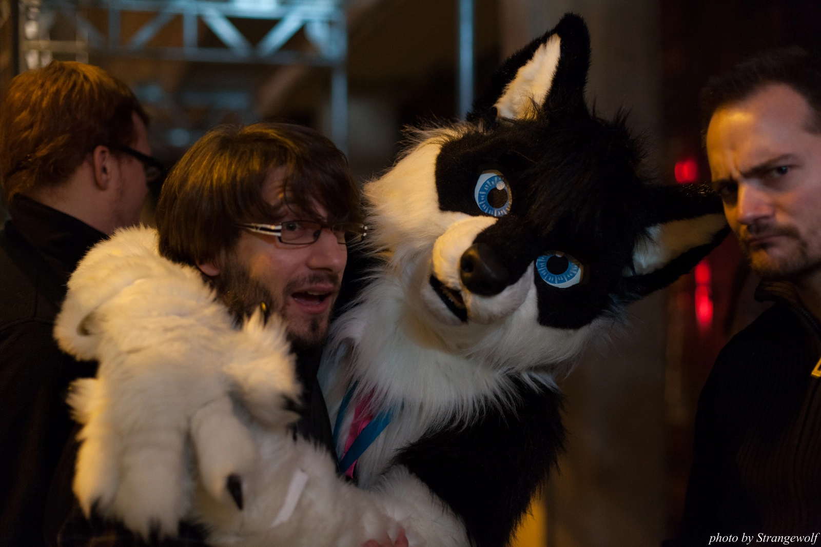 full image IMG_5475-lr16t.jpg