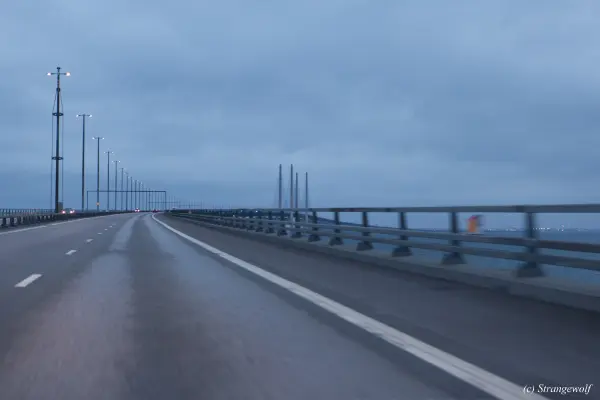 IMG_0017-lr19t.jpg of NFC/NFC2019/