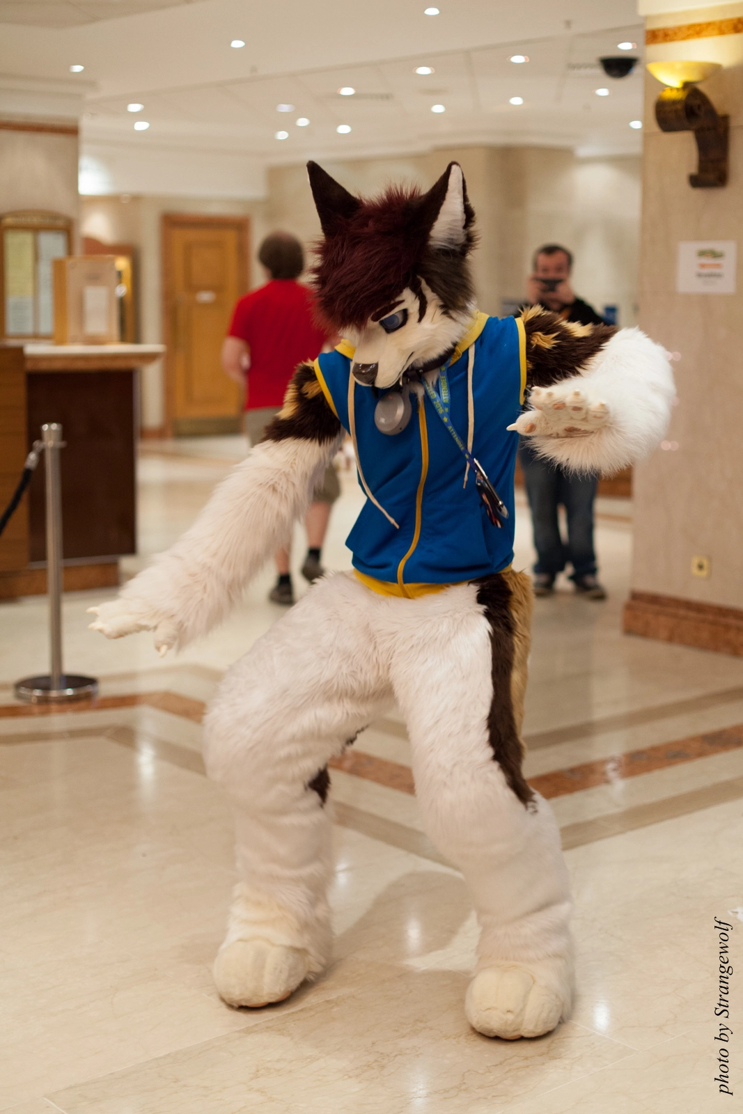 full image IMG_7602-lr16t.jpg