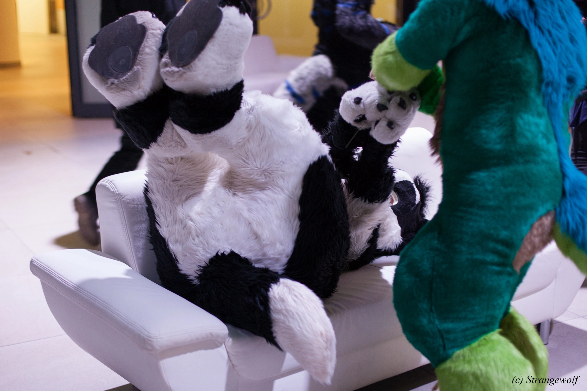 full image IMG_5385-lr19t.jpg