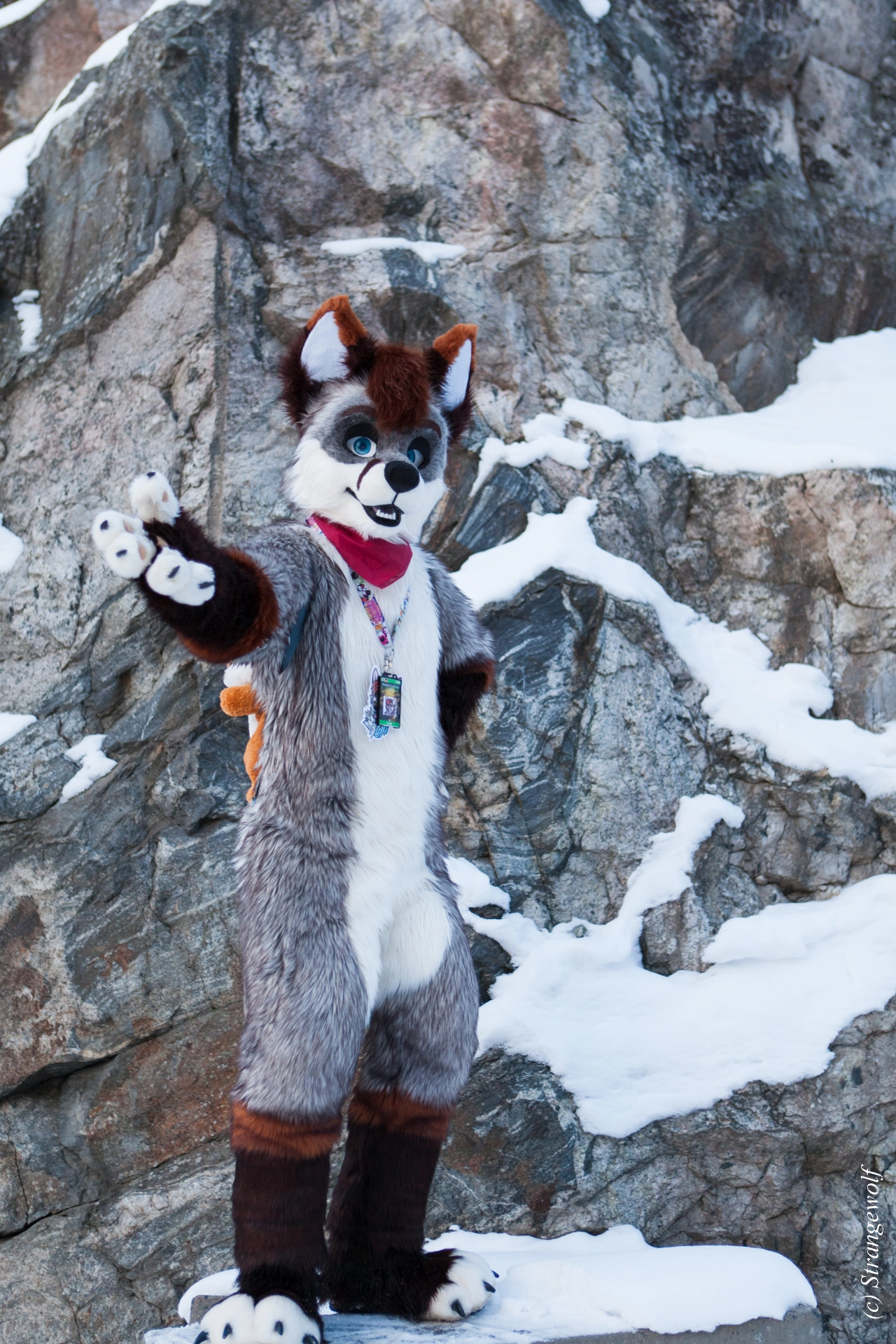 full image IMG_0638-lr19t.jpg