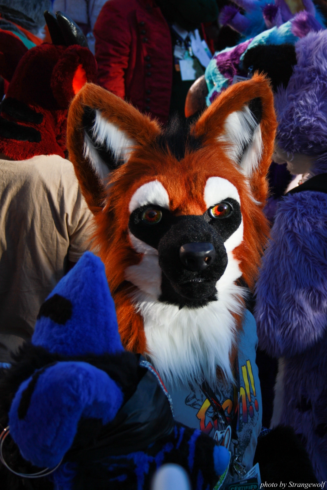 full image IMG_0699-lr.jpg