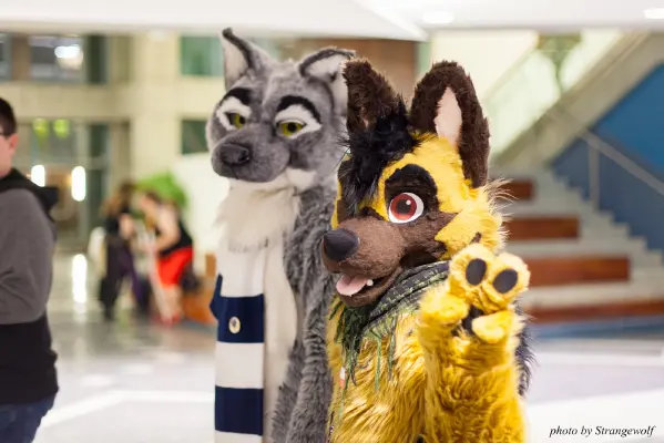 IMG_1247-lr16t.jpg of FC/FC2017/